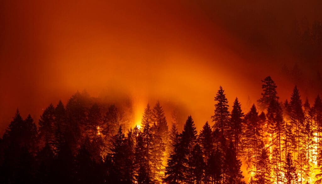 States_State_of_Emergencies_for_Wildfires